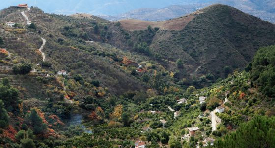 1400343372 351573 1400346579 noticia normal