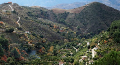 1400343372 351573 1400346579 noticia normal